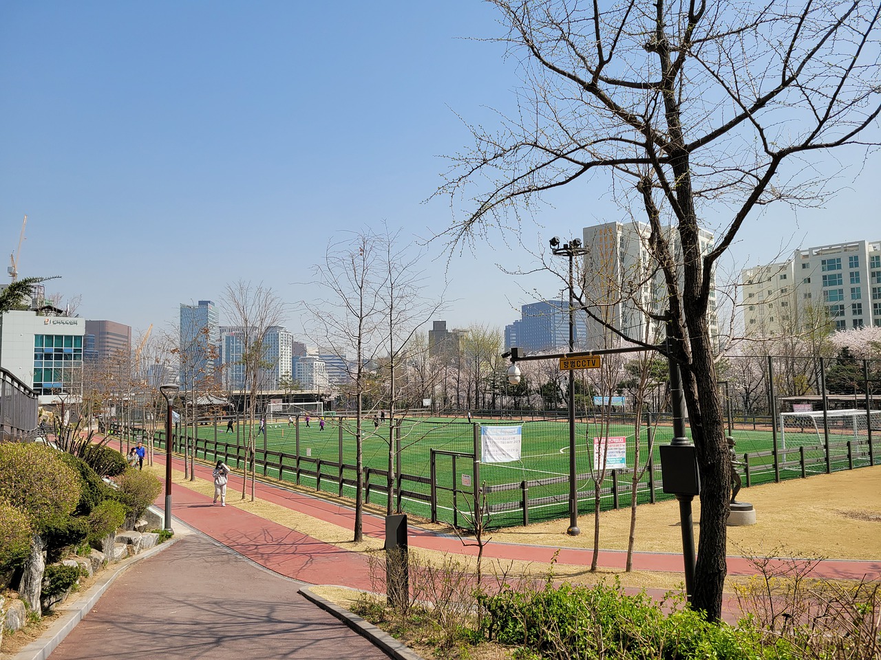 意大利队就 意大利队就