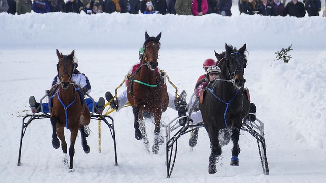 的一大看点 的一大看点