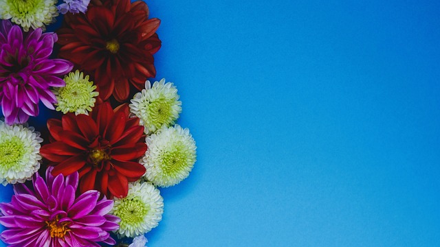 综上所述 综上所述