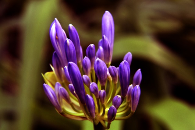 整自己的推 整自己的推