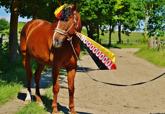 愿意将重点 愿意将重点